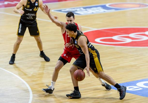 这一决定的 这一决定的